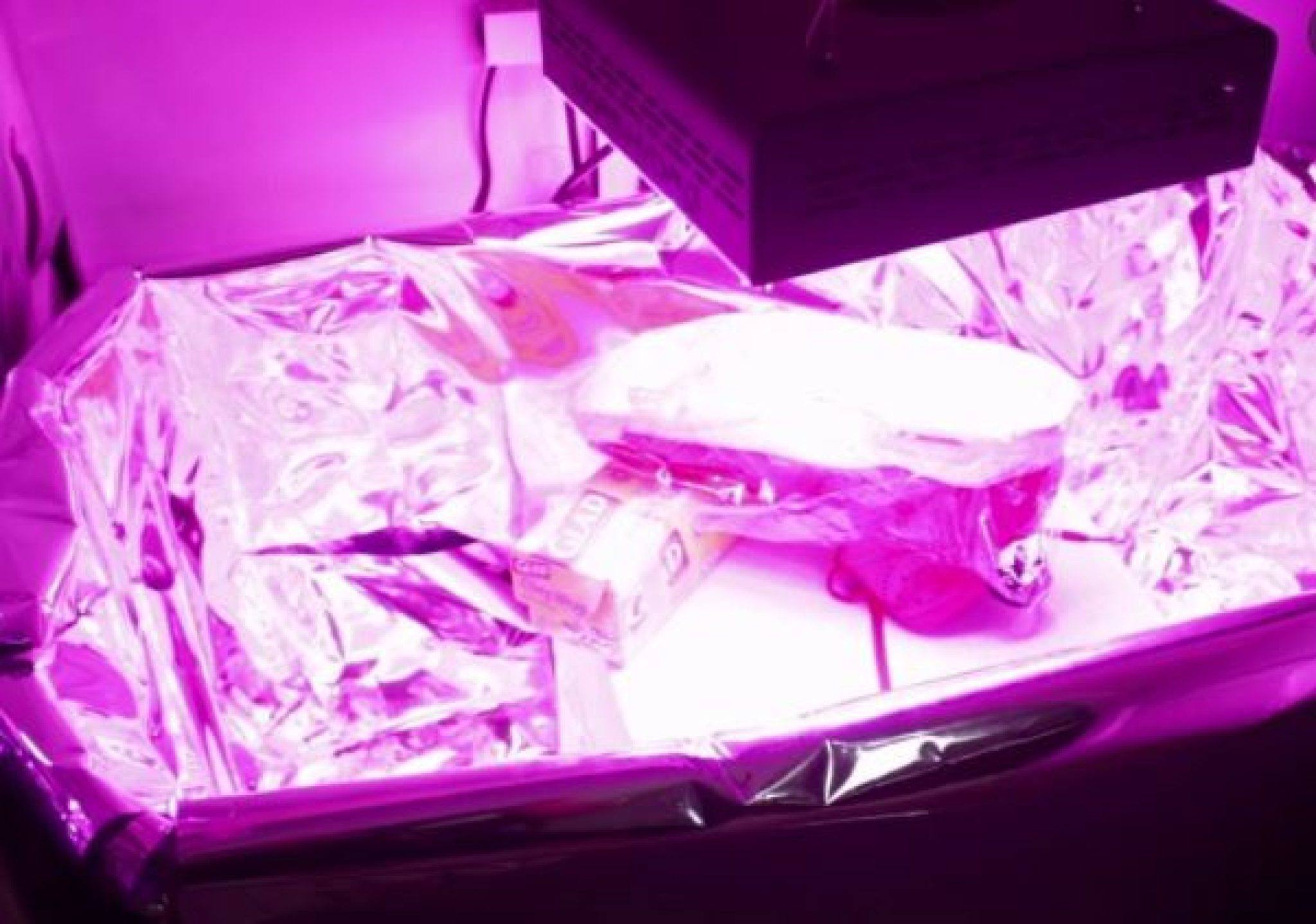how-to-make-a-shoe-ice-box-the-shoe-box-nyc