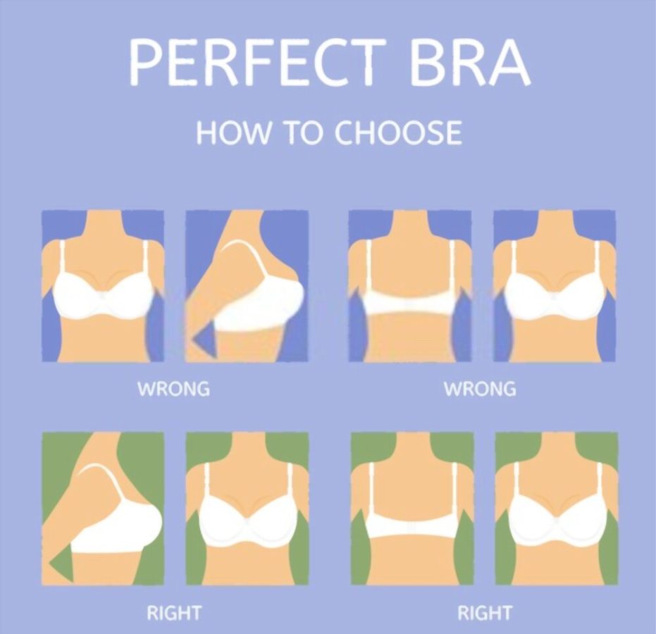 All About Of Bra Size Charts The Shoe Box NYC all-about-of-bra-size-charts-the-shoe-box-nyc