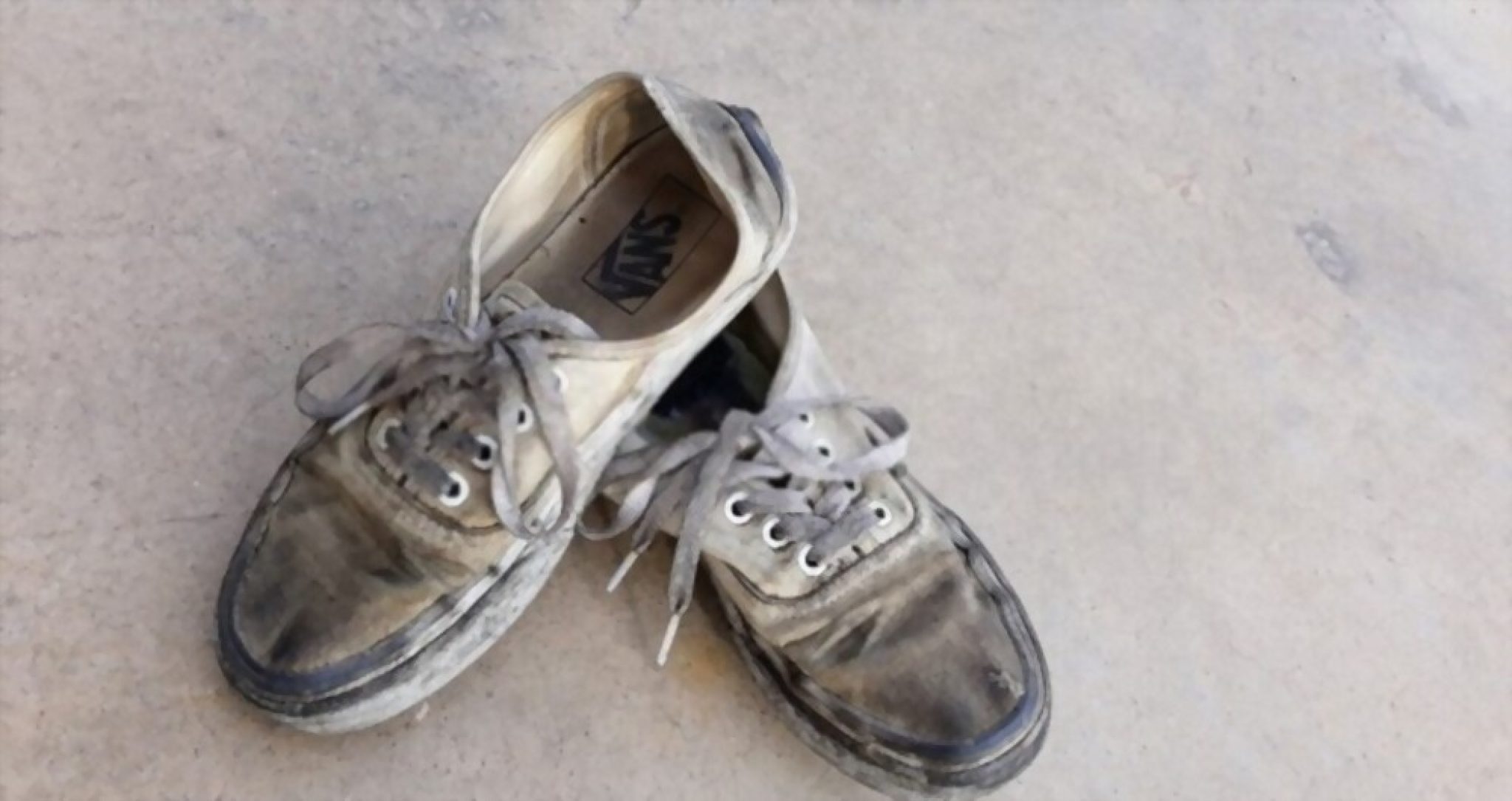3 Ways To Clean White Vans Shoes? The Shoe Box NYC