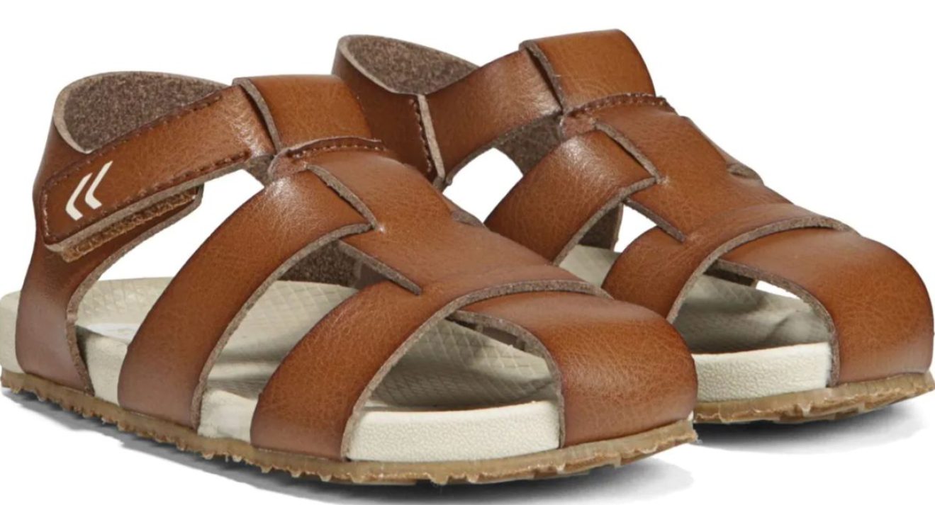 Dr Scholl's Shoe Size Chart Advantages and Disadvantages The Shoe