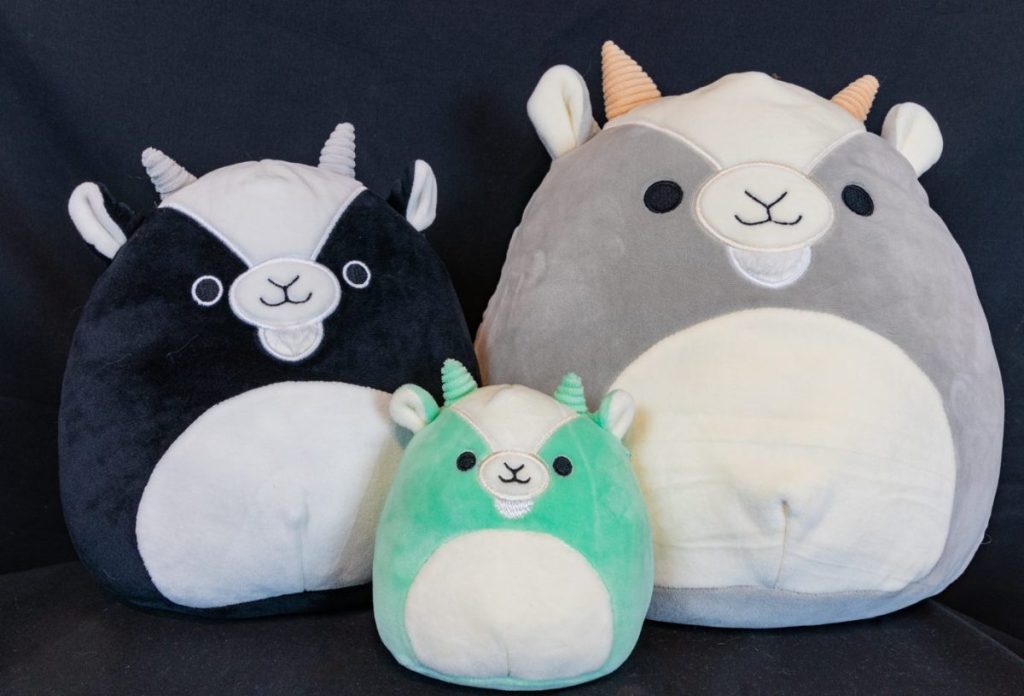 Squishmallow Size Chart 6 Famous Squishmallow Squads The Shoe Box NYC