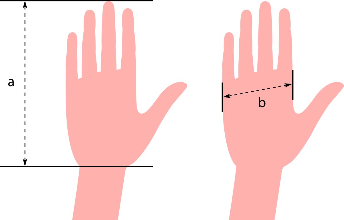 measure glove