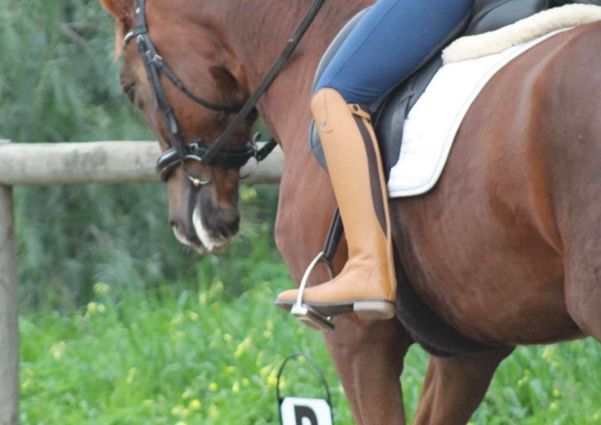 Kingsley Boots Size Chart How To Choose HorseRiding Boots The Shoe