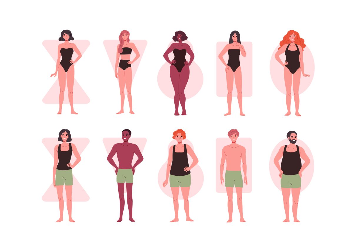 Types of body shapes