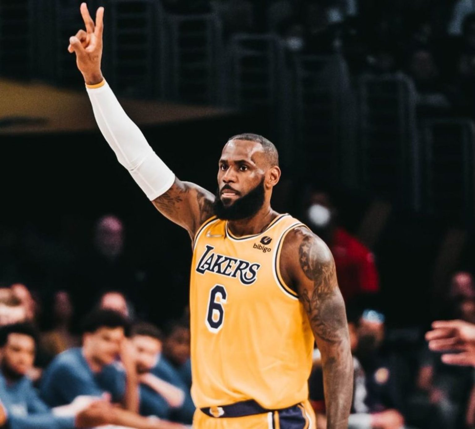 what does lebron james look like